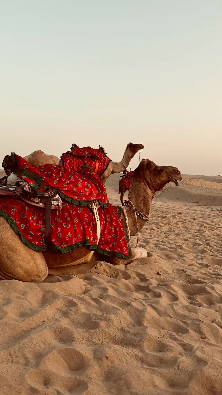 Rajasthan