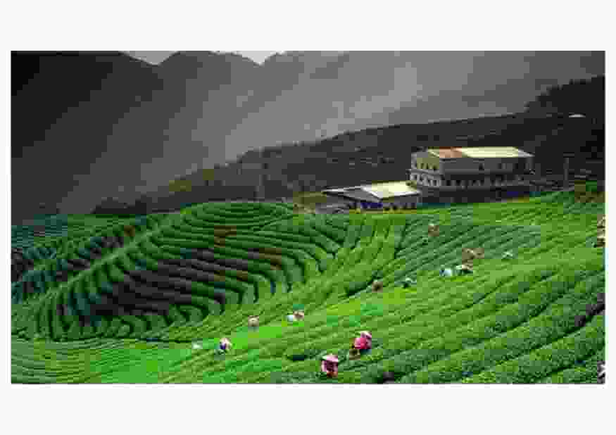 Ranikhet & Kausani Tour Package – 4 Days / 3 Nights